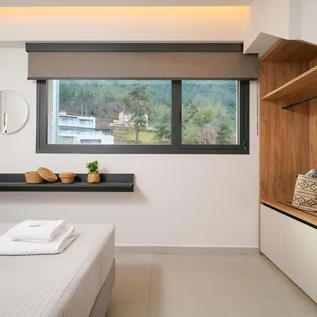 Apartamento Videre Golden Private Pool Potamia (Thasos)